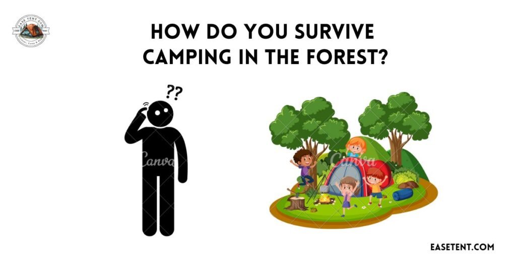 How do you Survive Camping in the Forest?