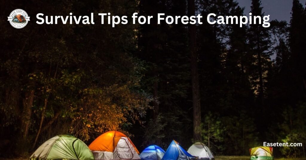 Forest camping