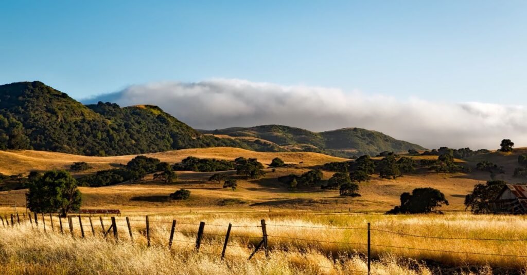 don't go for camping in Oxford Ranch Campground (Texas) before reading this guide