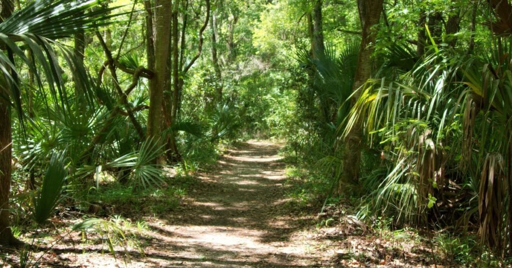 Rainbow Springs State Park (Florida)