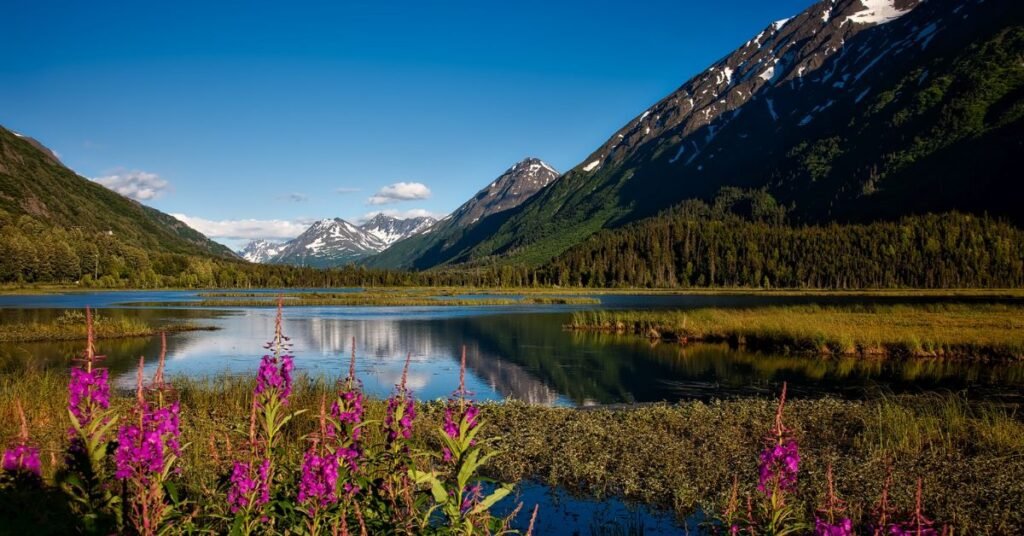 the scenic view of Deadman Lake Campground (Alaska)