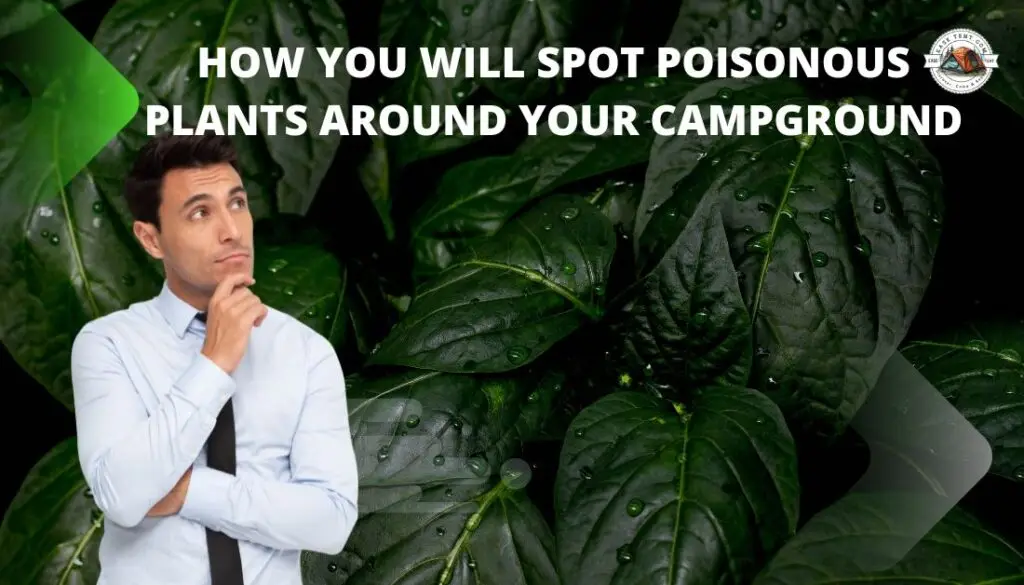 how to identify the poisonous and allergic plants