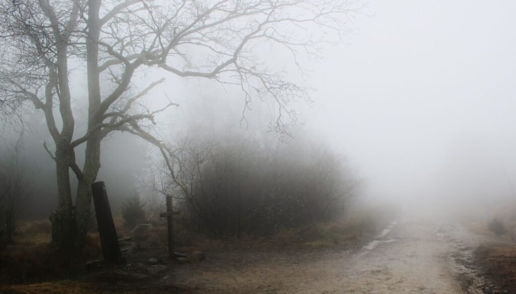 camping in foggy weather